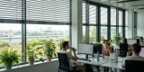 Klimaanpassung in Unternehmen: Hitzeschutz am Arbeitsplatz wirkungsvoll umsetzen